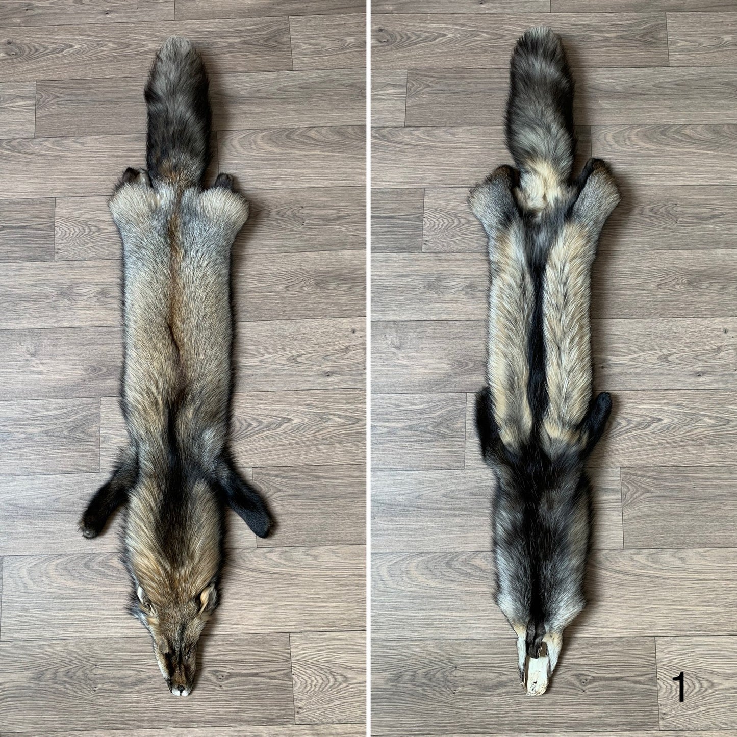 Smokey fox pelt (1)