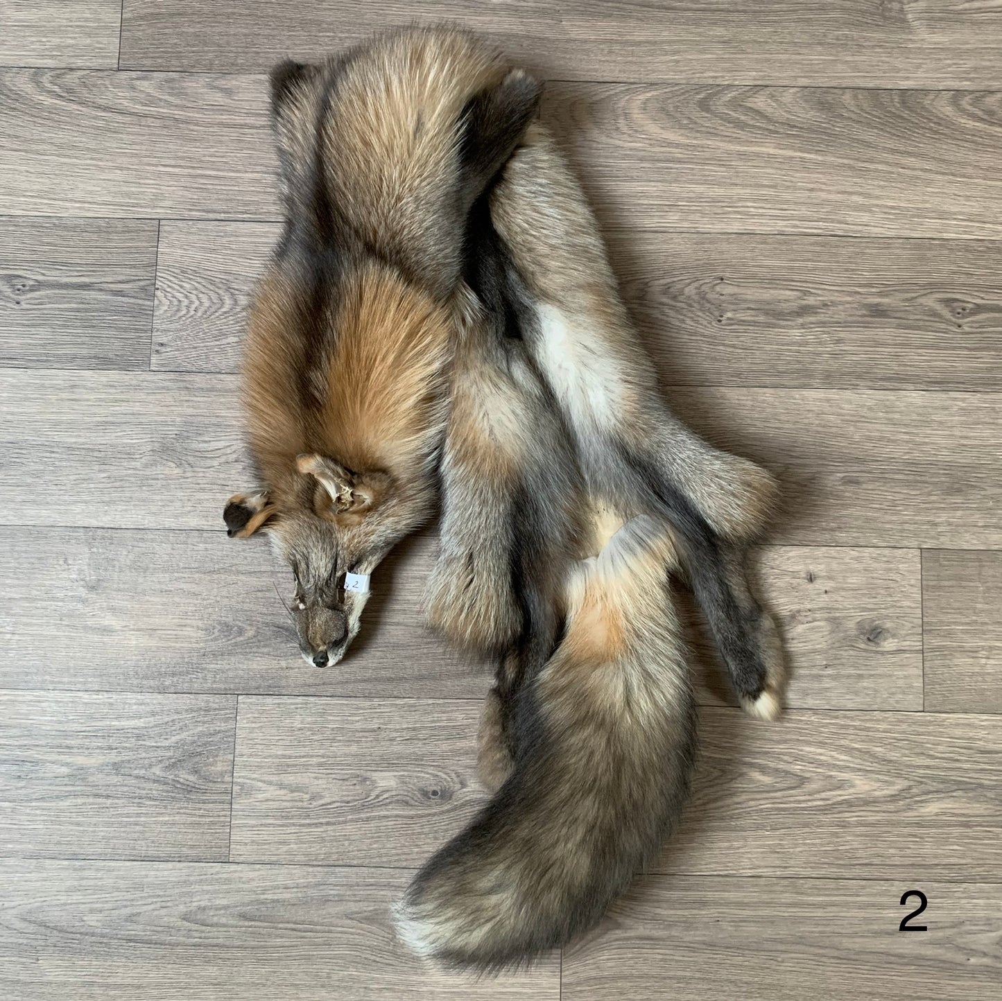 Pearl Smokey fox pelt (2)