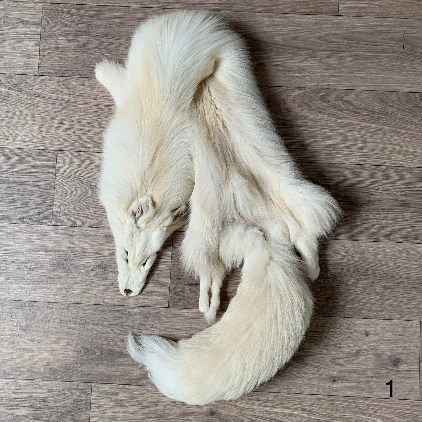 Palomino fox pelt (1)