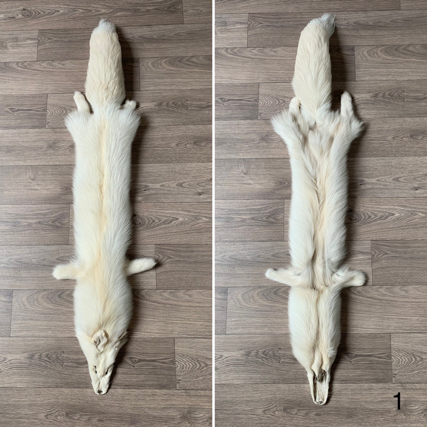 Palomino fox pelt (1)