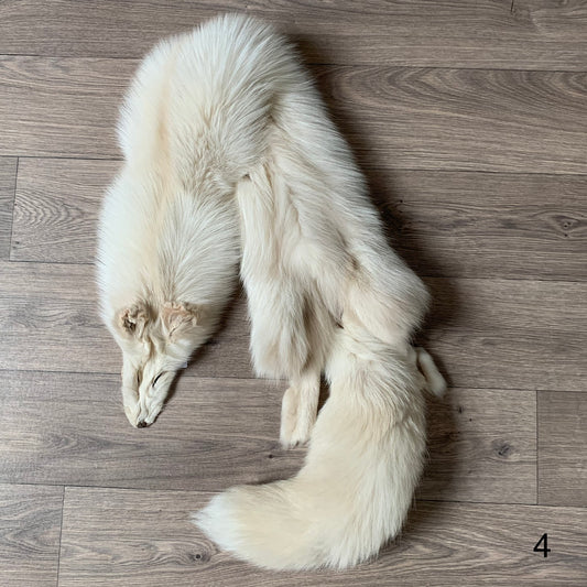 Palomino fox pelt (4)