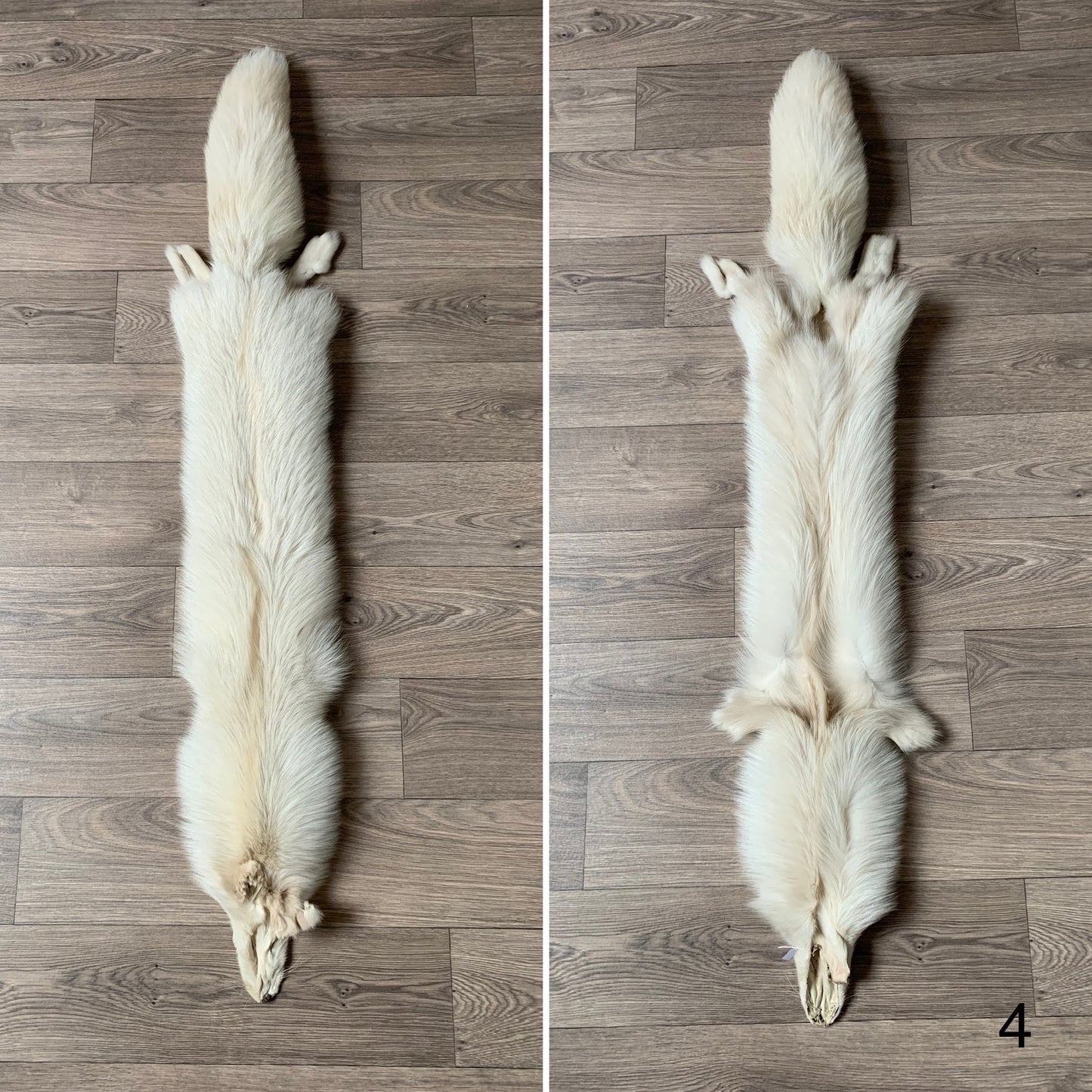 Palomino fox pelt (4)