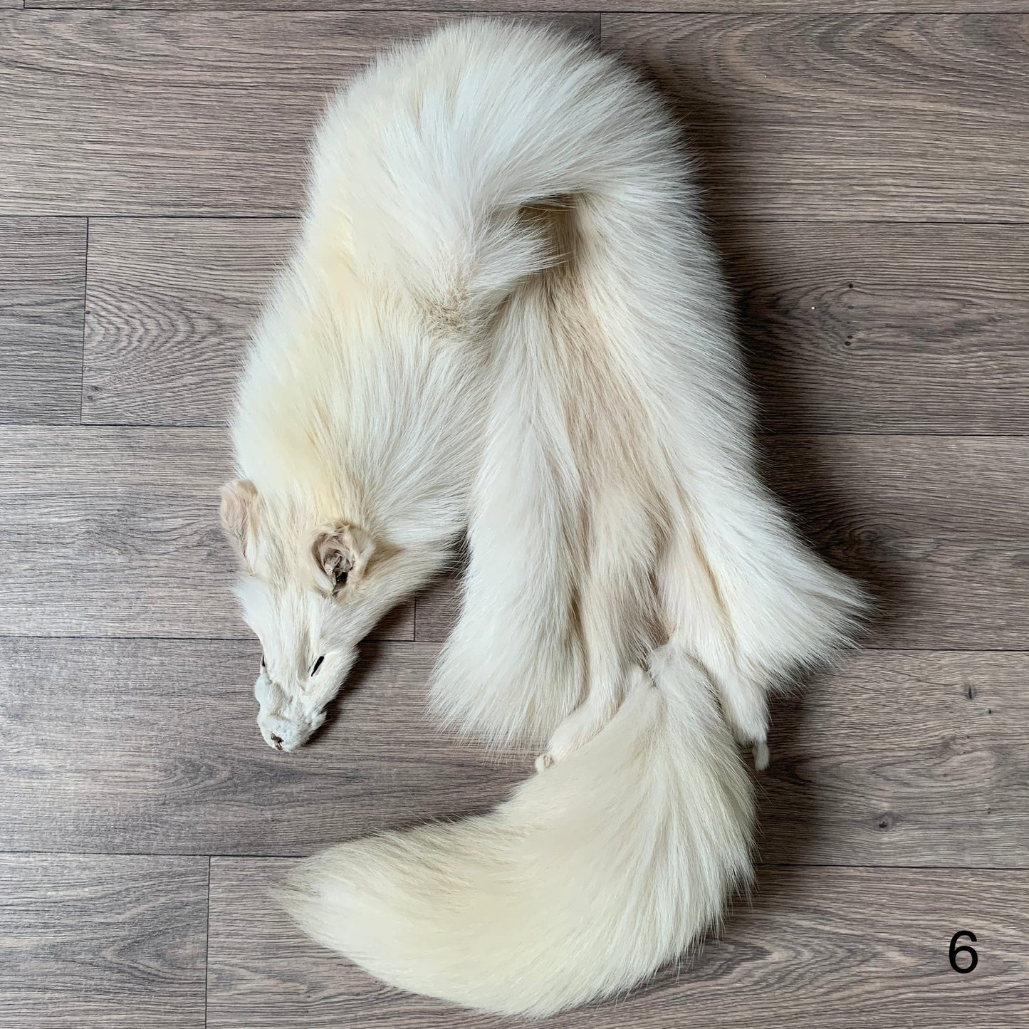 Palomino fox pelt (6)