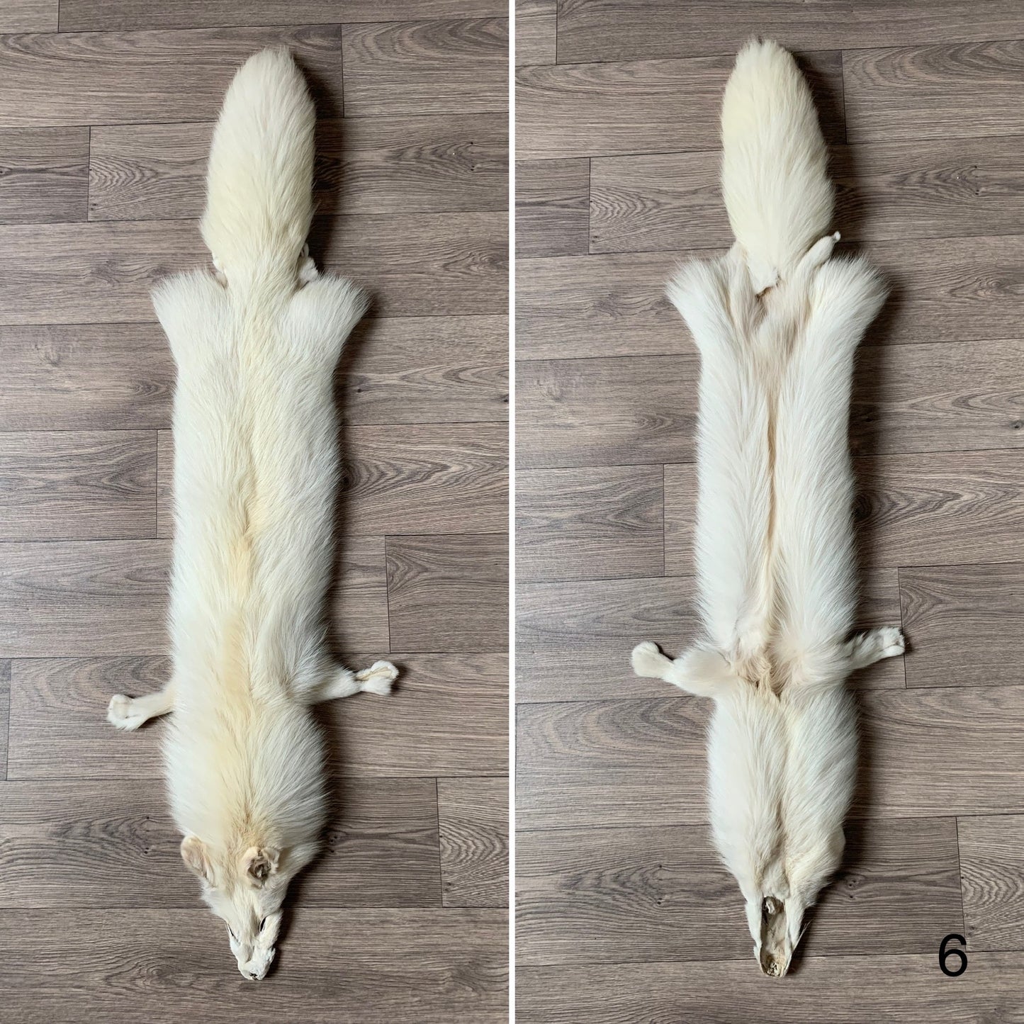 Palomino fox pelt (6)