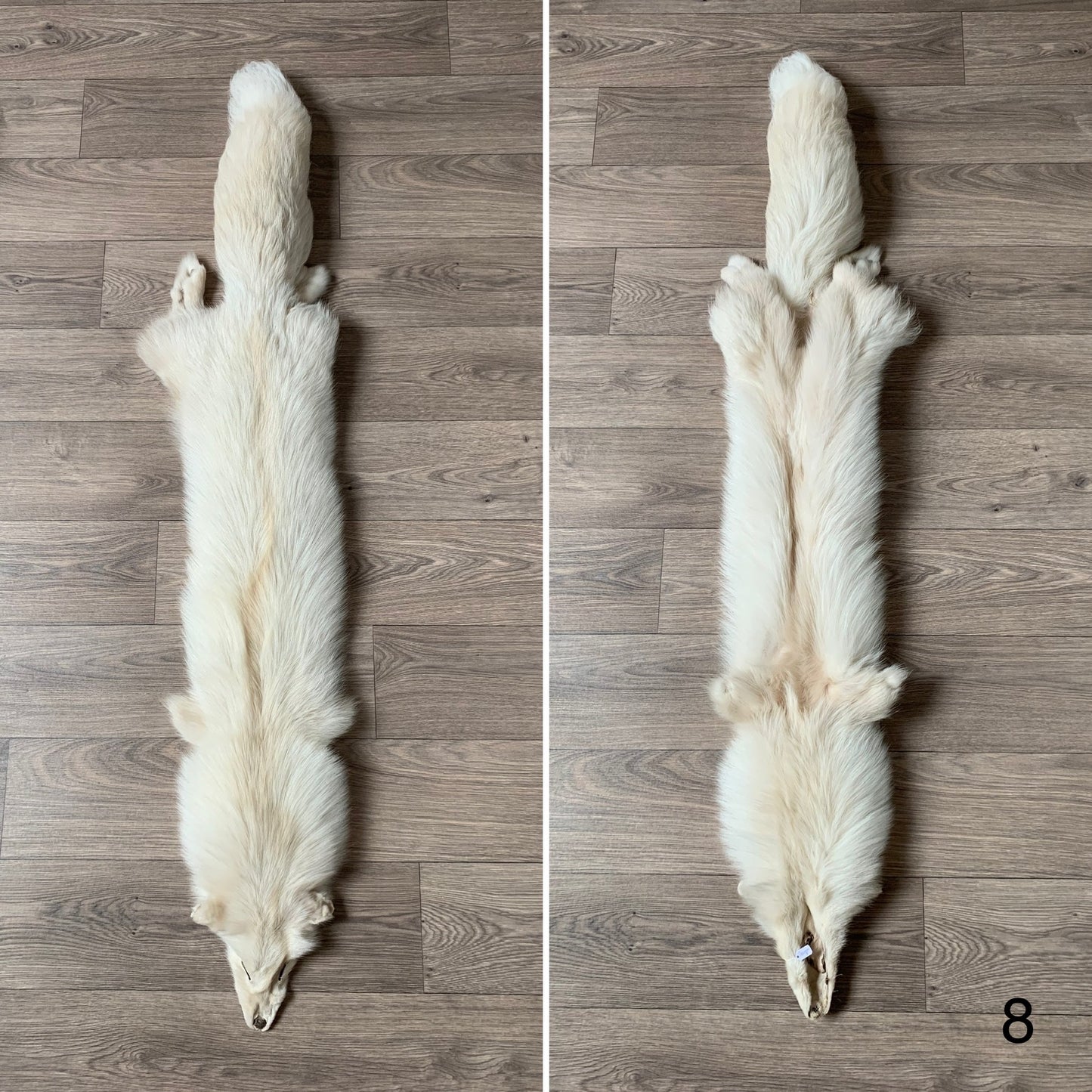 Palomino fox pelt (8)