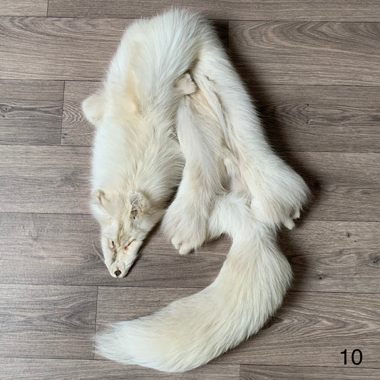 Palomino fox pelt (10)