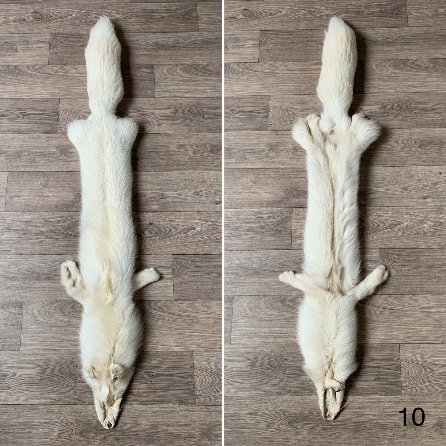 Palomino fox pelt (10)