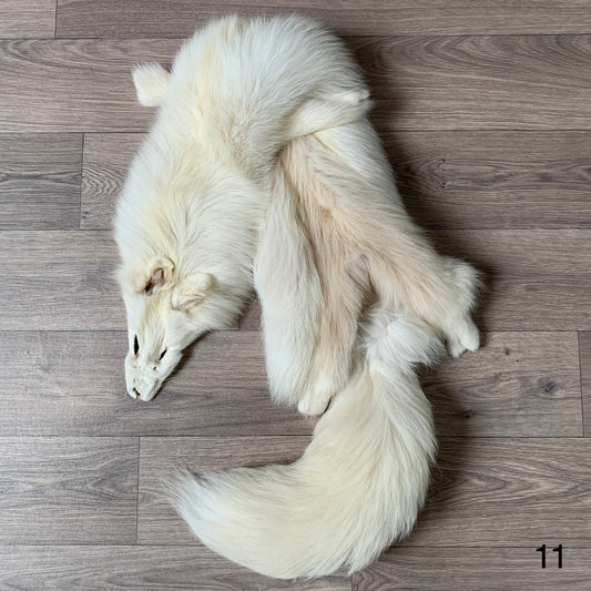 Palomino fox pelt (11)