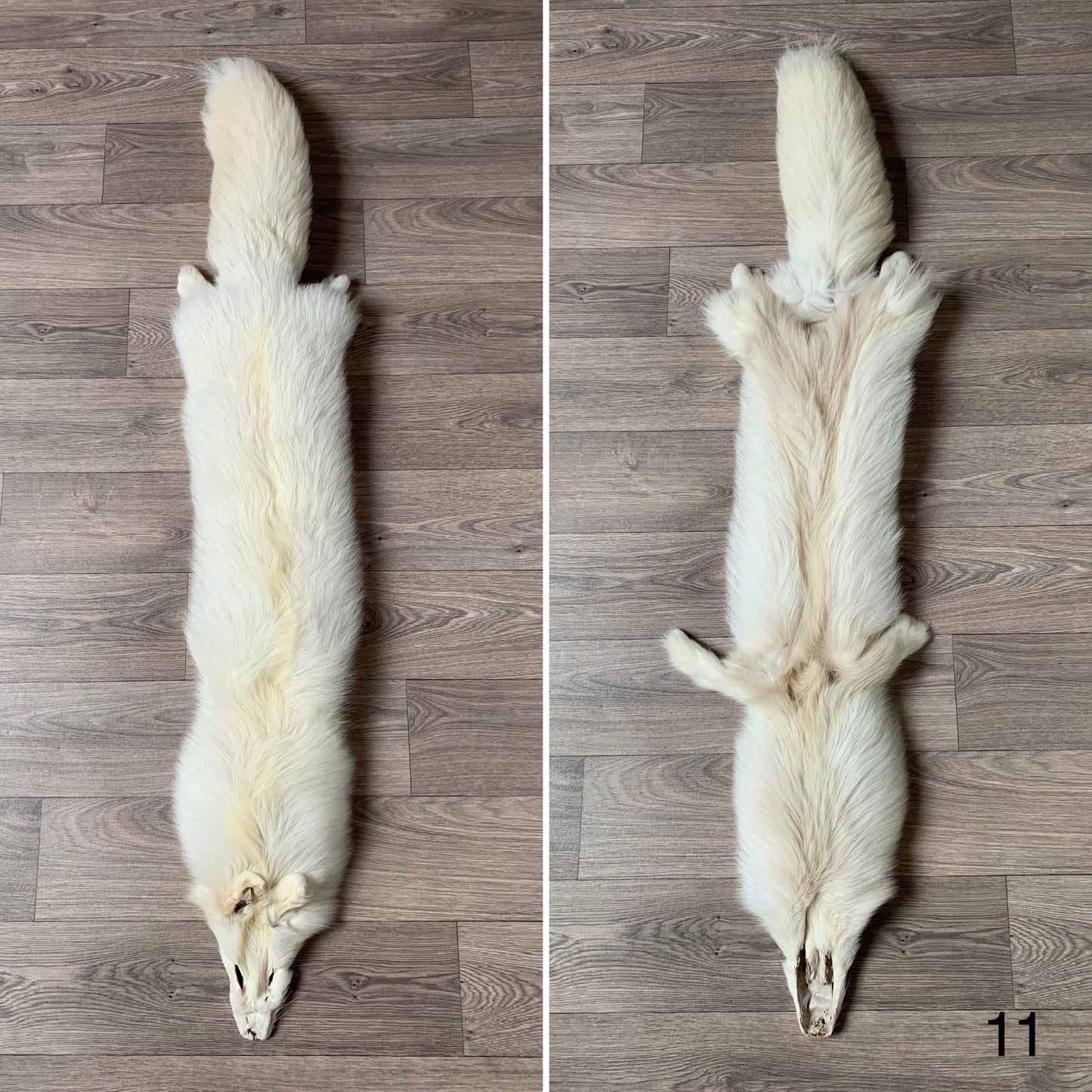 Palomino fox pelt (11)