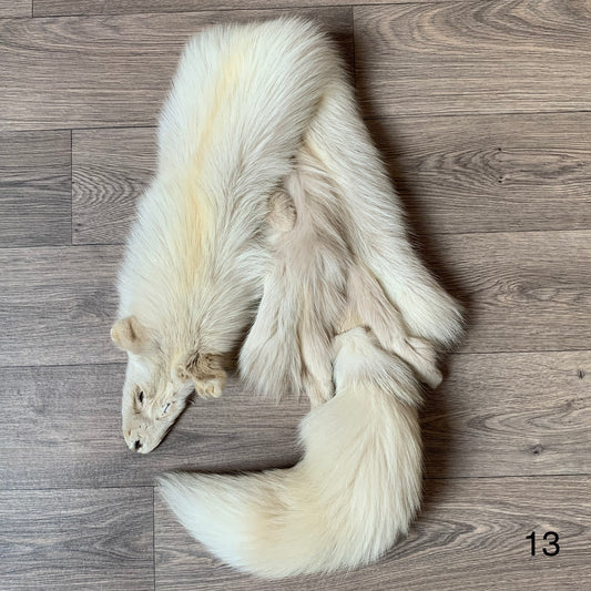 Palomino fox pelt (13)