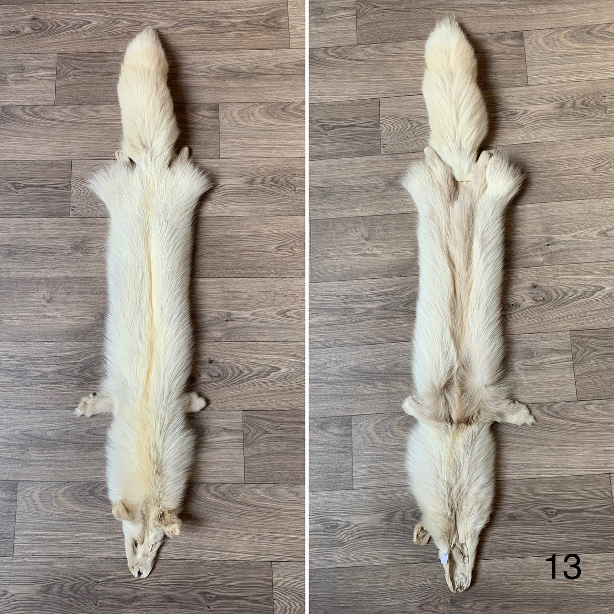 Pelt Rafiz Palomino fox pelt (13) – Orange Lion Creations