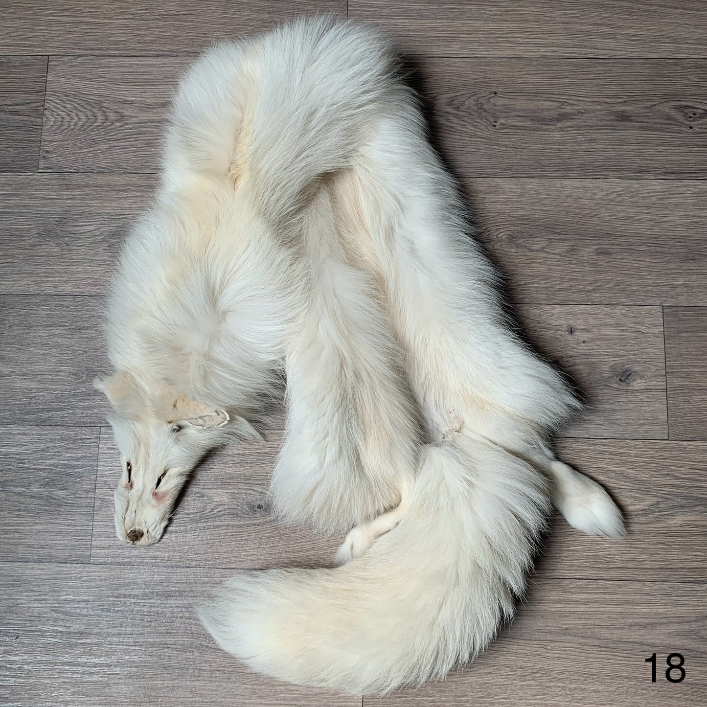 Palomino fox pelt (18)