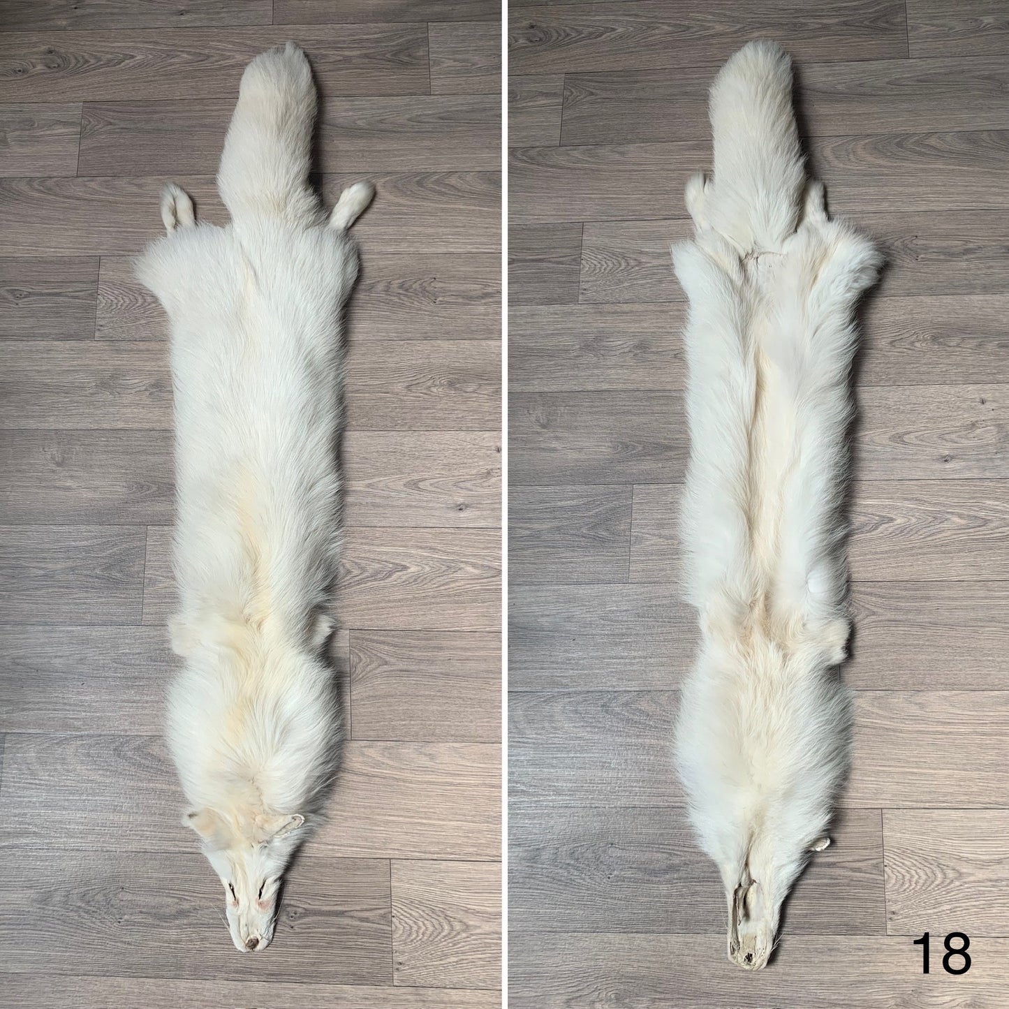 Palomino fox pelt (18)