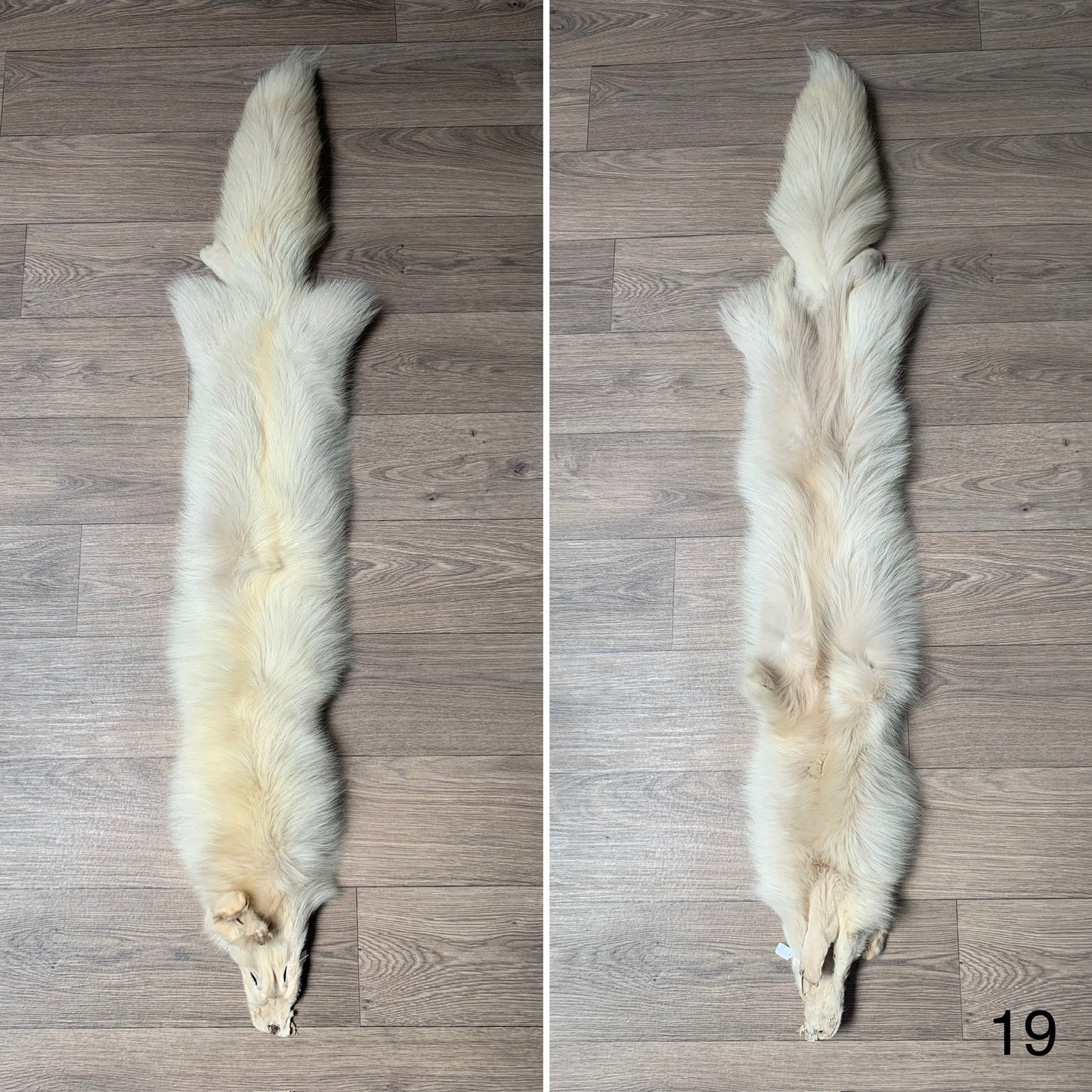 Palomino fox pelt (19)