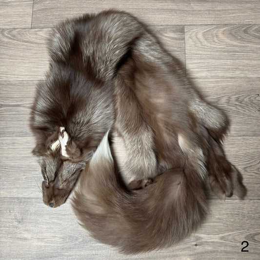 Polish Pastel fox pelt (2)