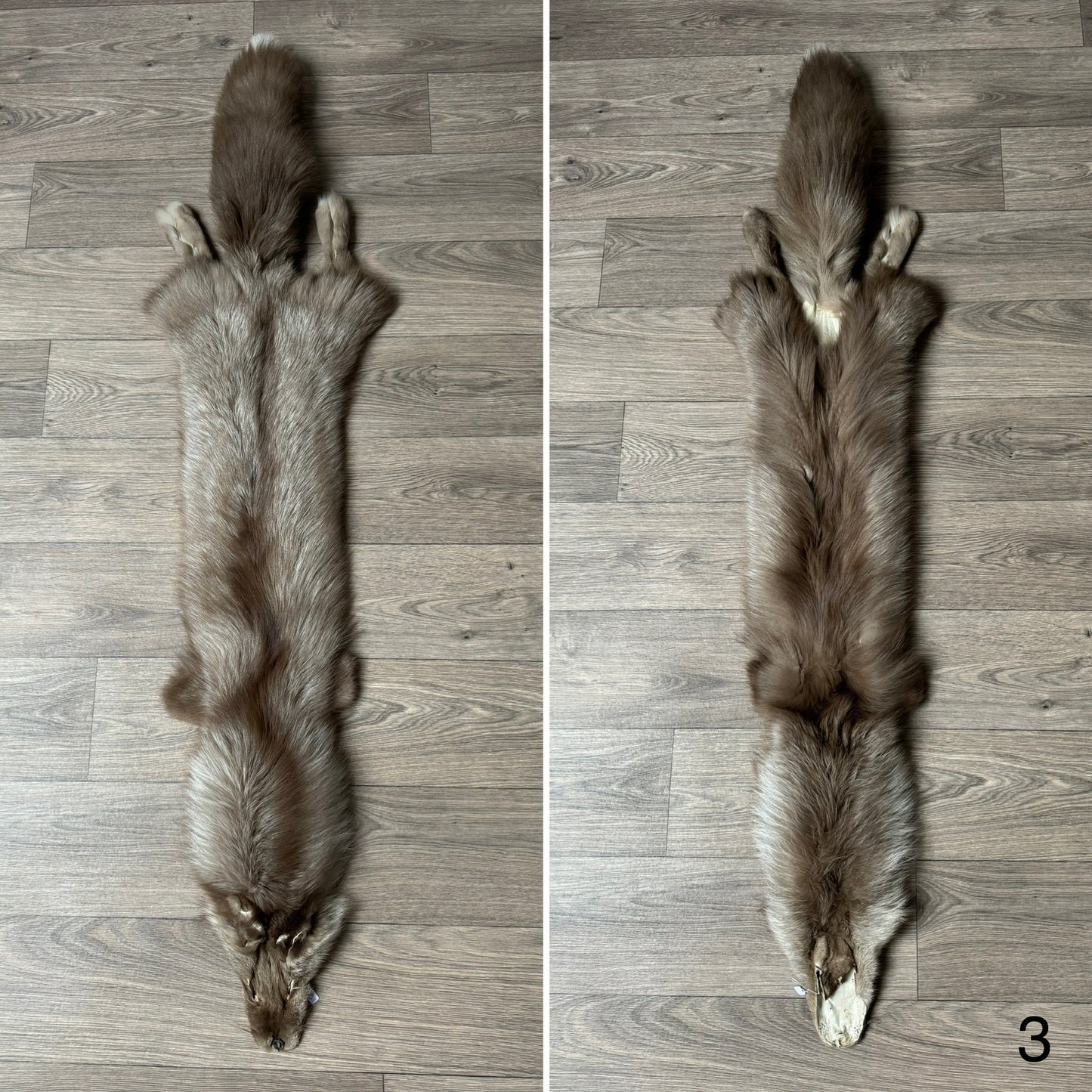 Polish Pastel fox pelt (3)