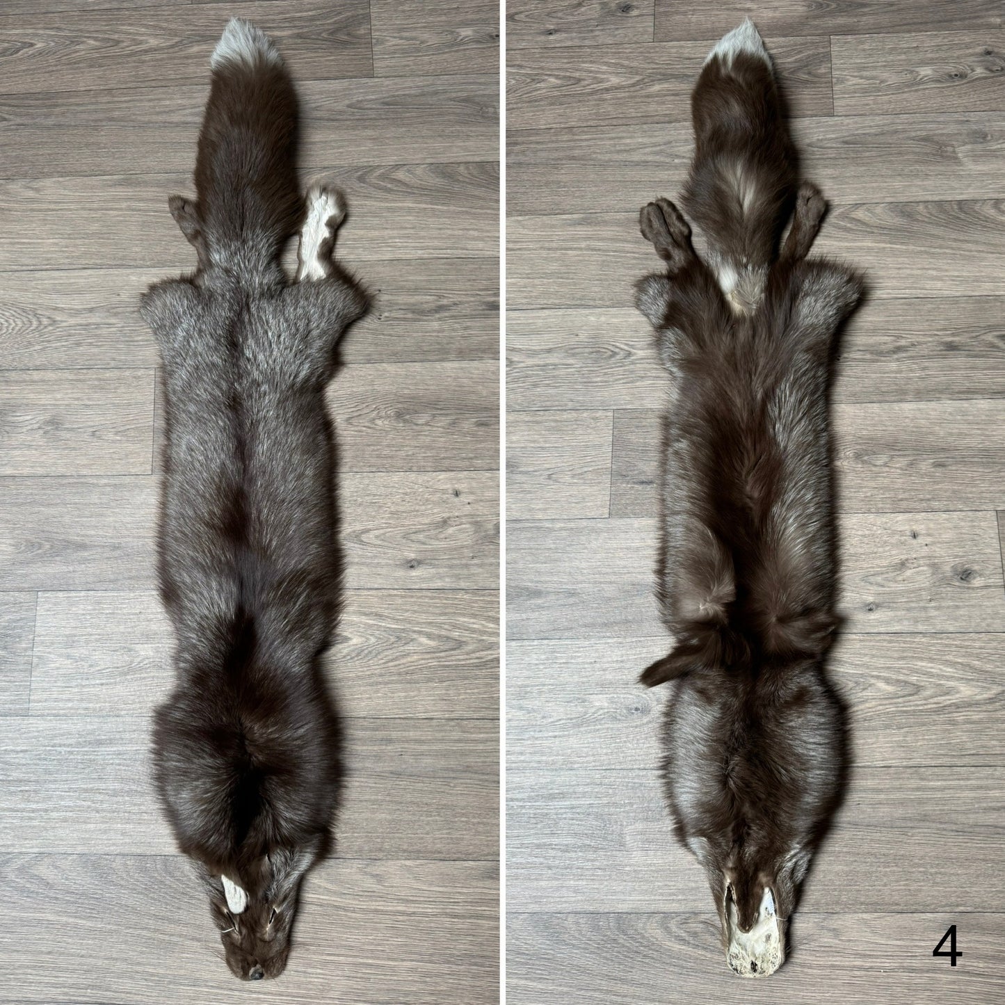 Polish Pastel fox pelt (4)