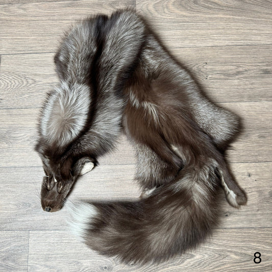 Polish Pastel fox pelt (8)