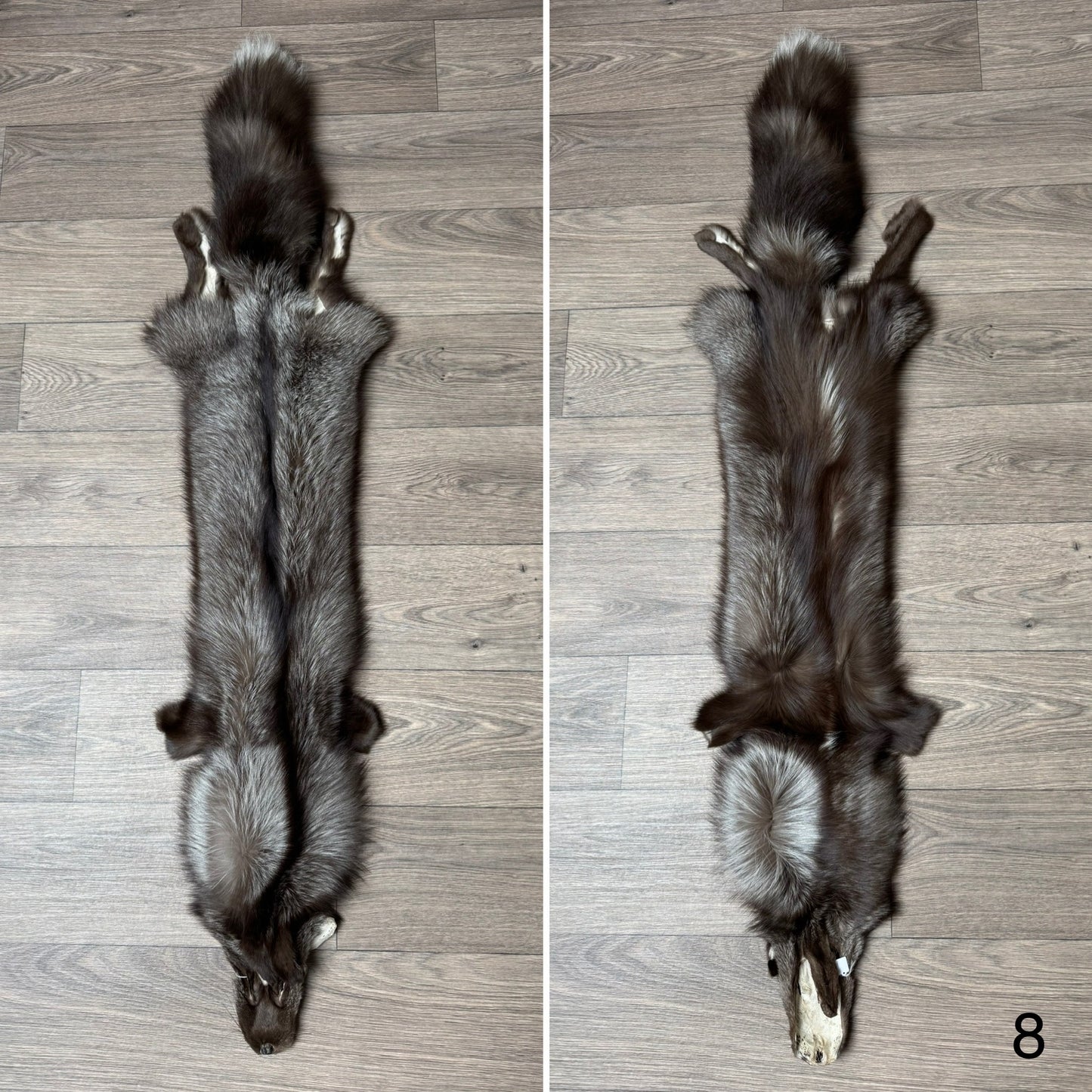 Polish Pastel fox pelt (8)