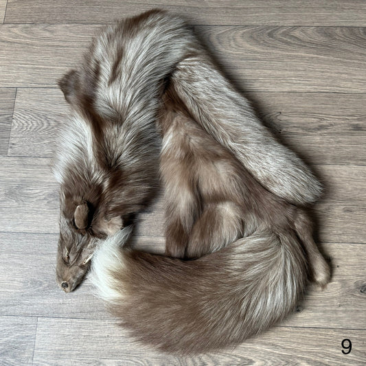 Polish Pastel fox pelt (9)