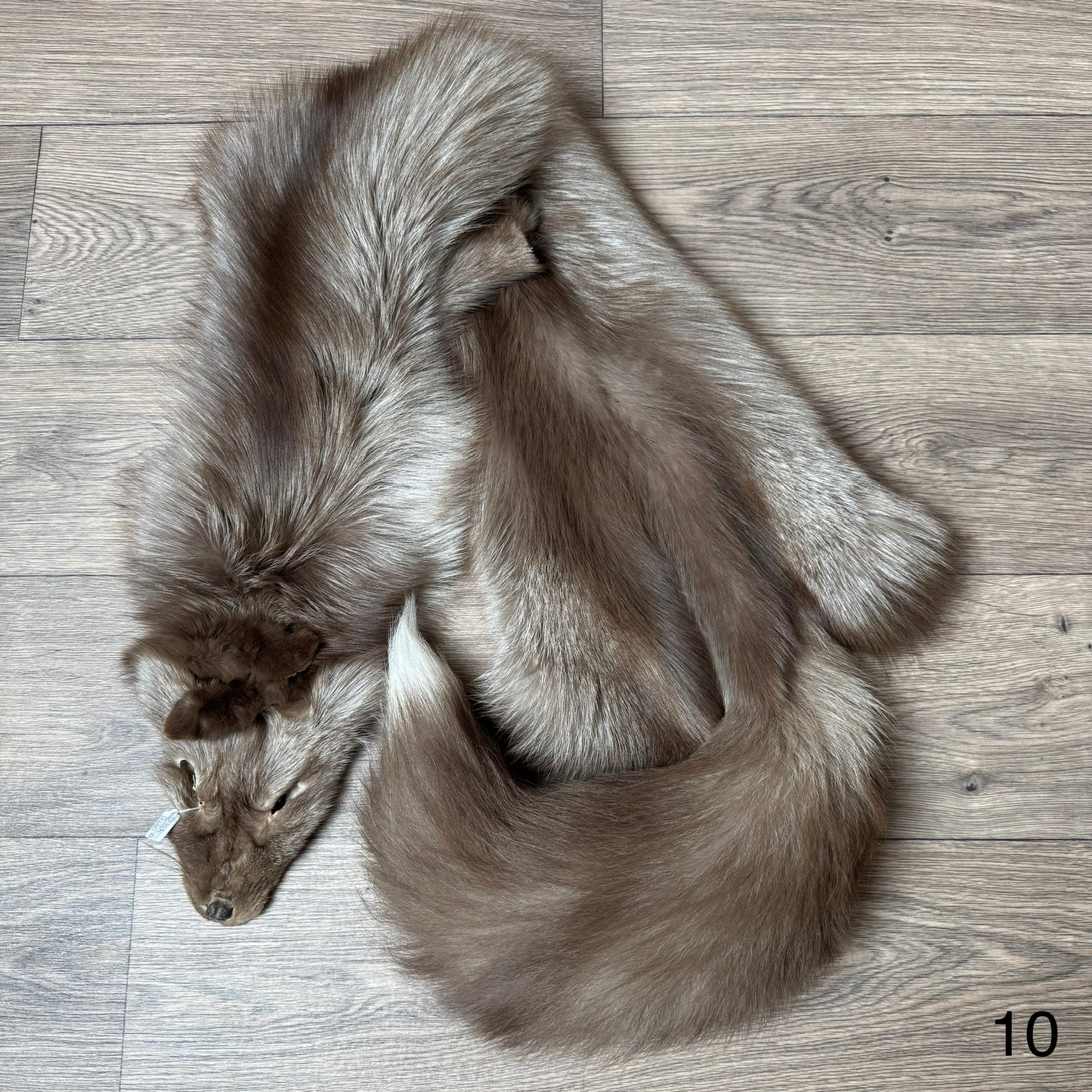 Polish Pastel fox pelt (10)