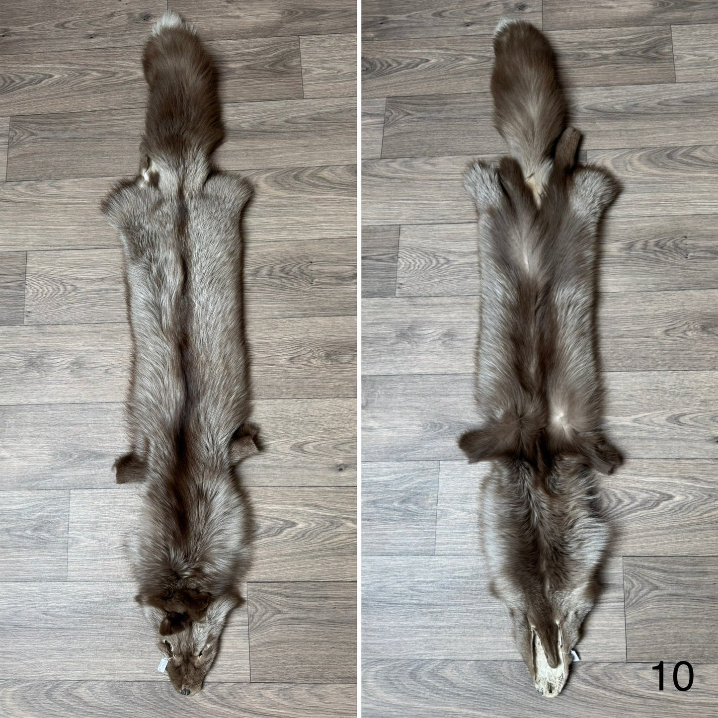 Polish Pastel fox pelt (10)