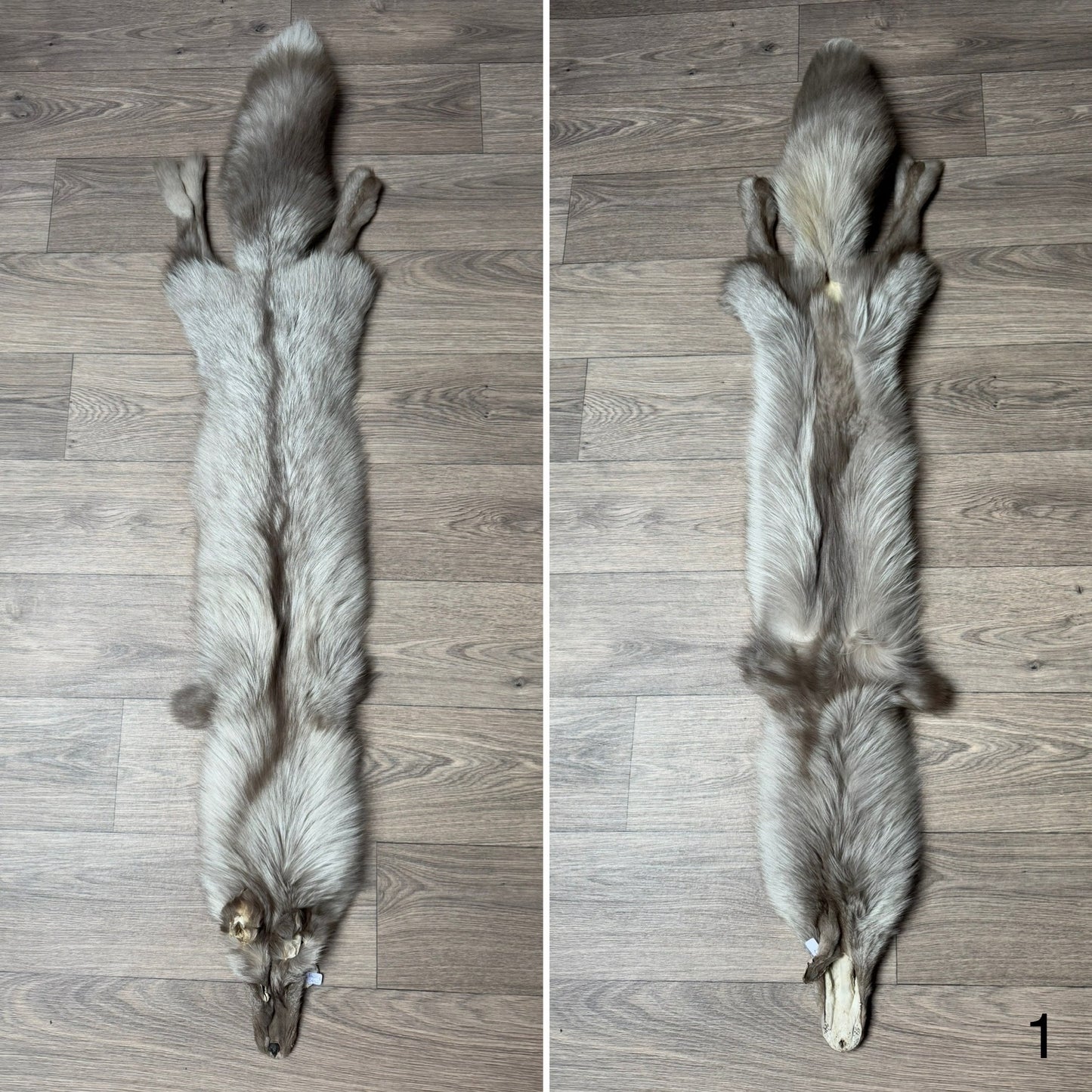 Fawn Glow fox pelt (1)