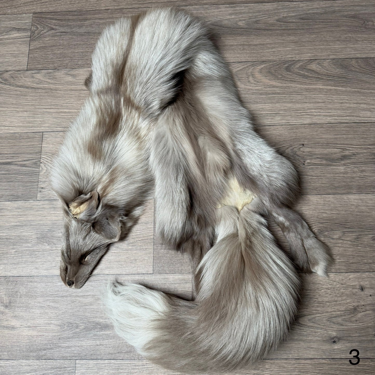 Fawn Glow fox pelt (3)