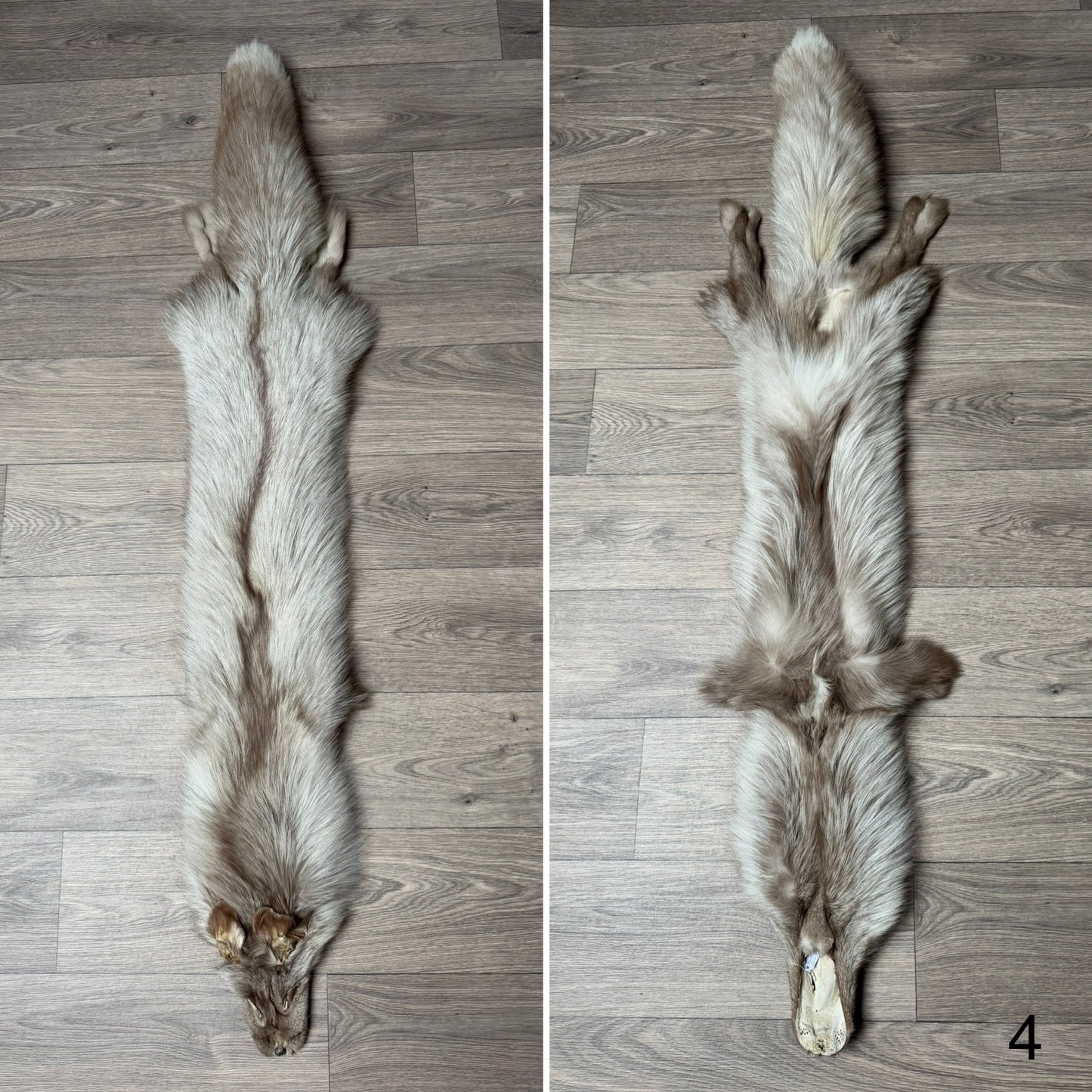 Fawn Glow fox pelt (4)