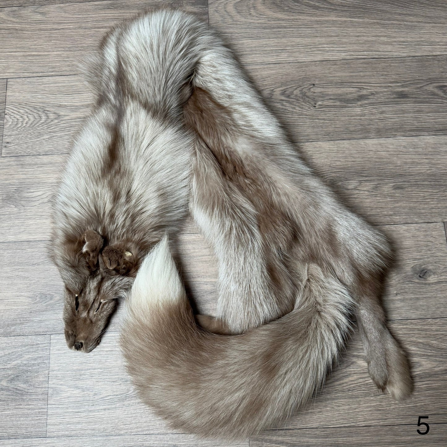 Fawn Glow fox pelt (5)