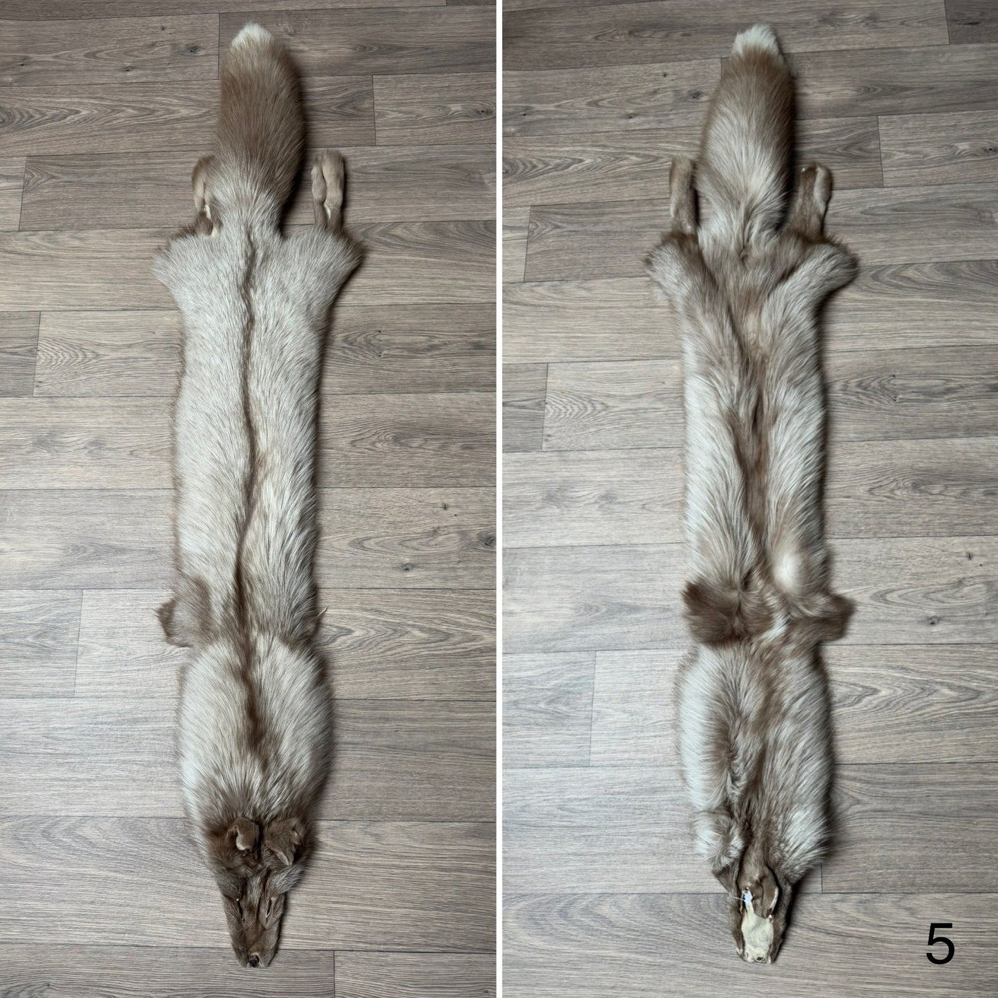 Fawn Glow fox pelt (5)