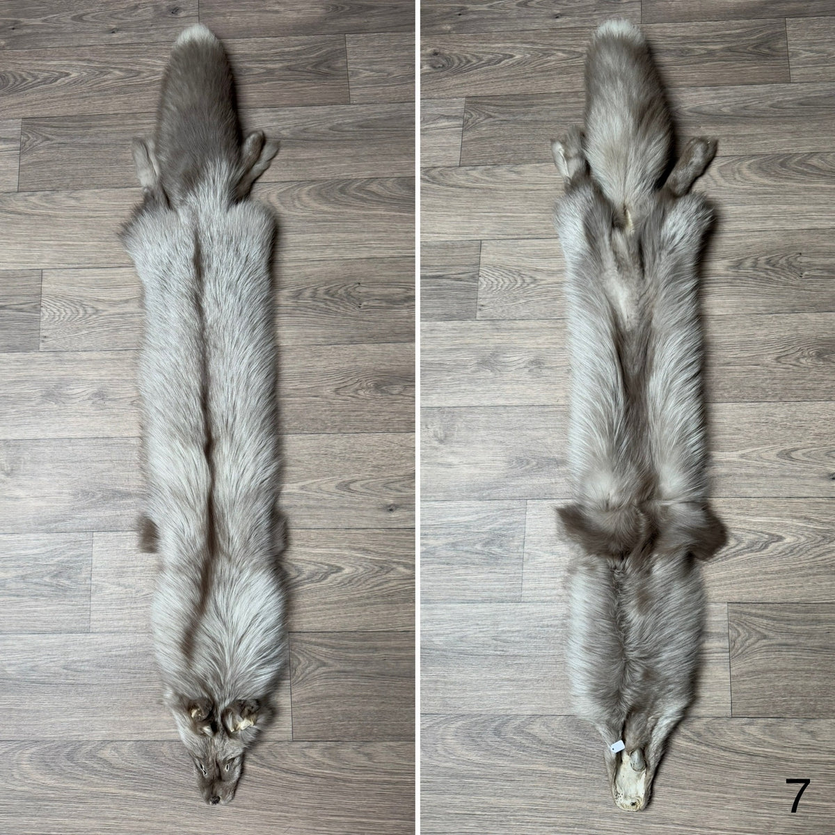 Pelt Rafiz Fawn Glow fox pelt (7) – Orange Lion Creations