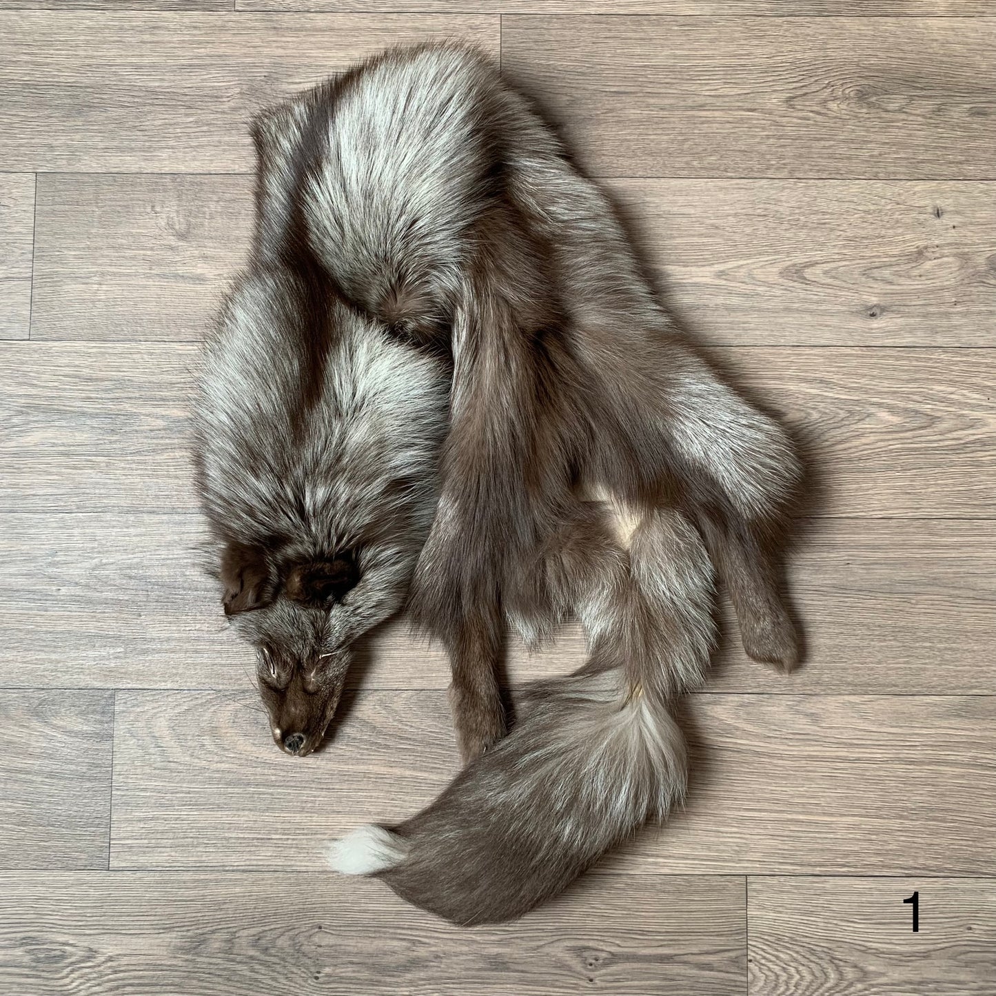 Choco Silver fox pelt (1)