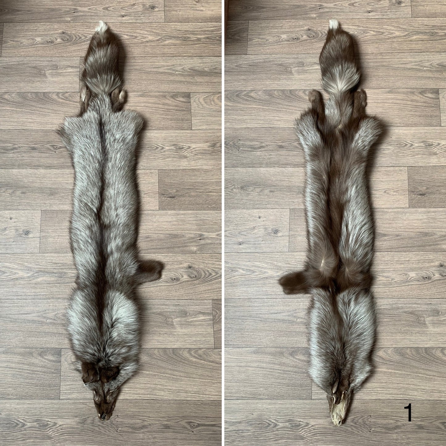 Choco Silver fox pelt (1)