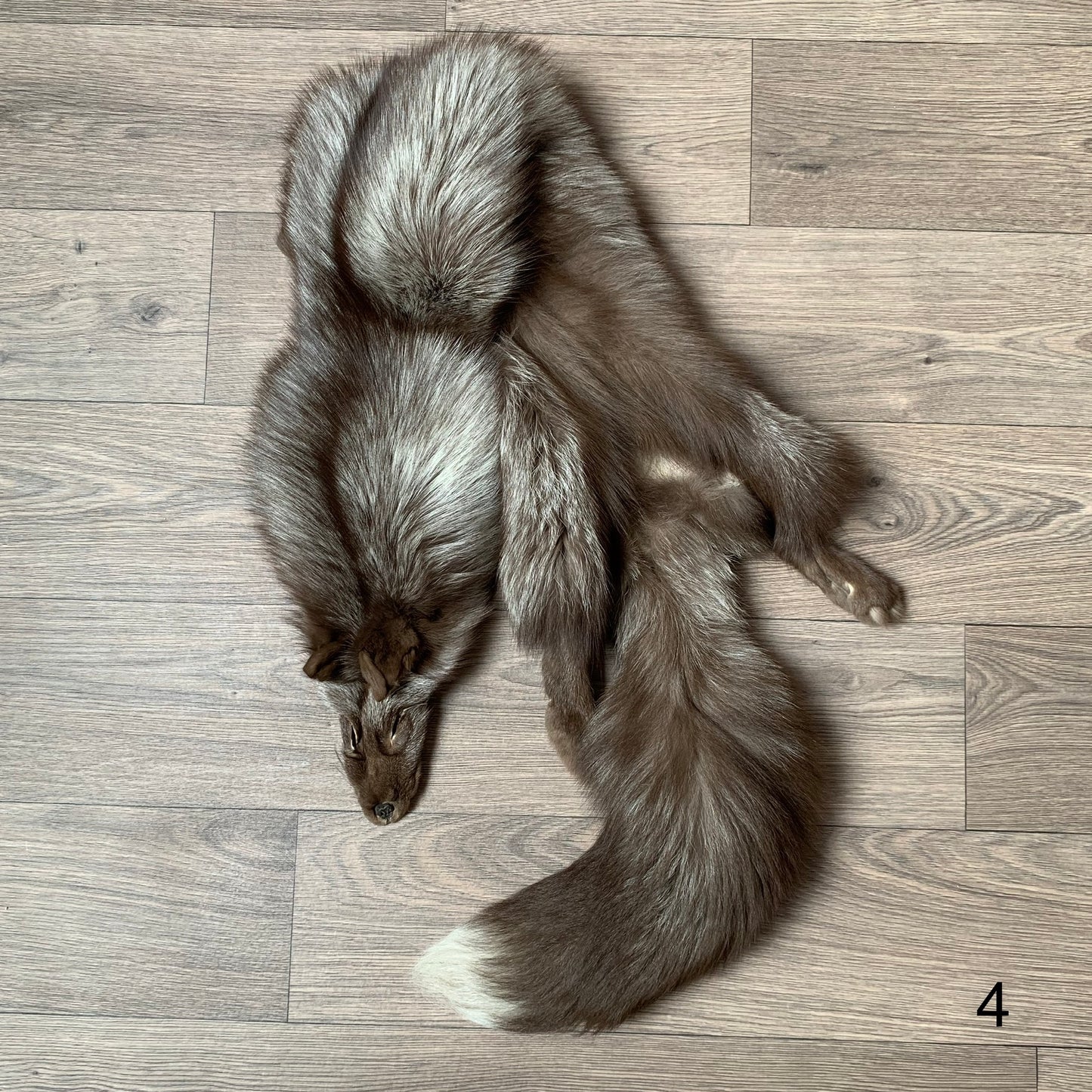 Choco Silver fox pelt (4)