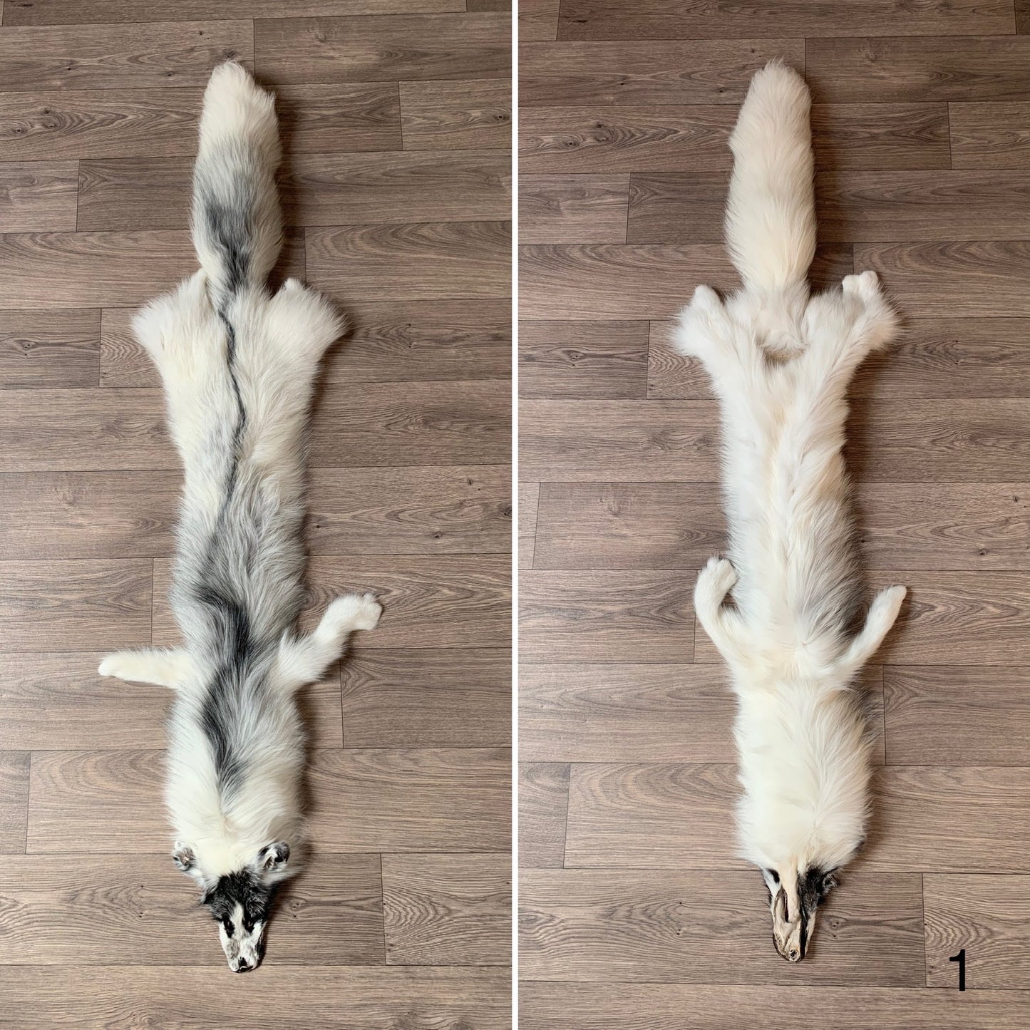 Arctic Marble fox pelt (1)