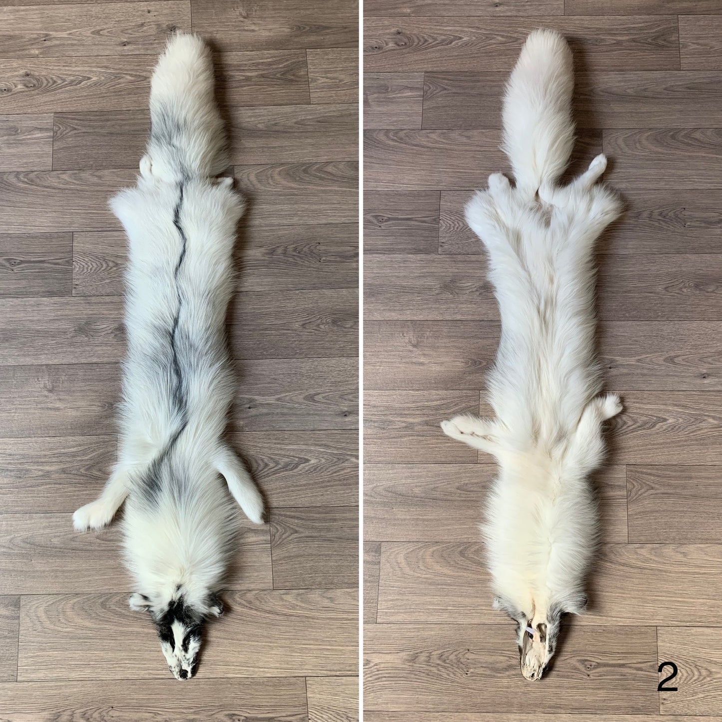 Arctic Marble fox pelt (2)