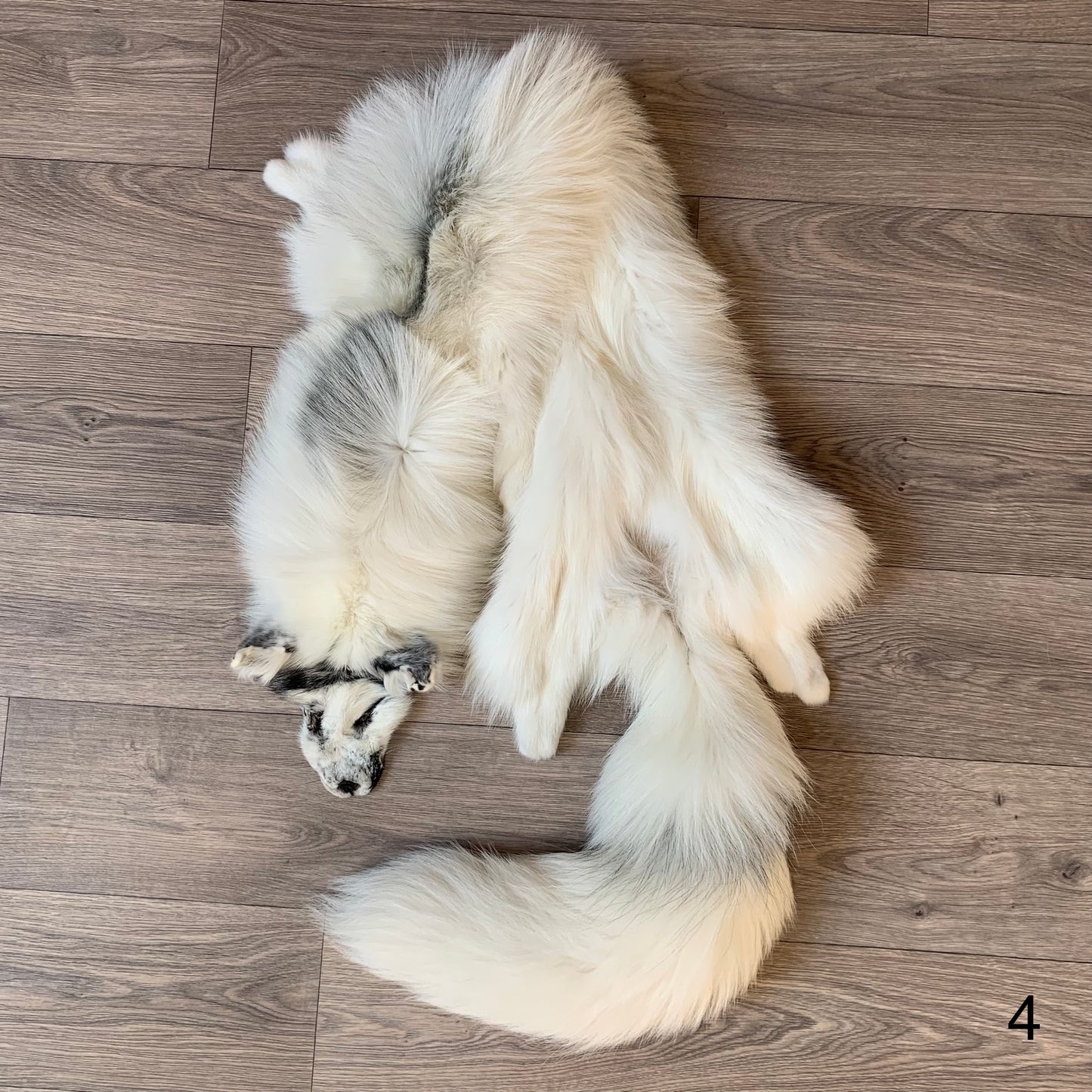 Arctic Marble fox pelt (4)