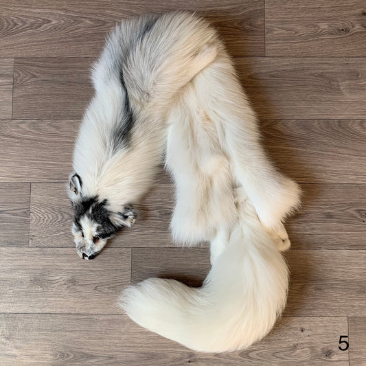 Arctic Marble fox pelt (5)