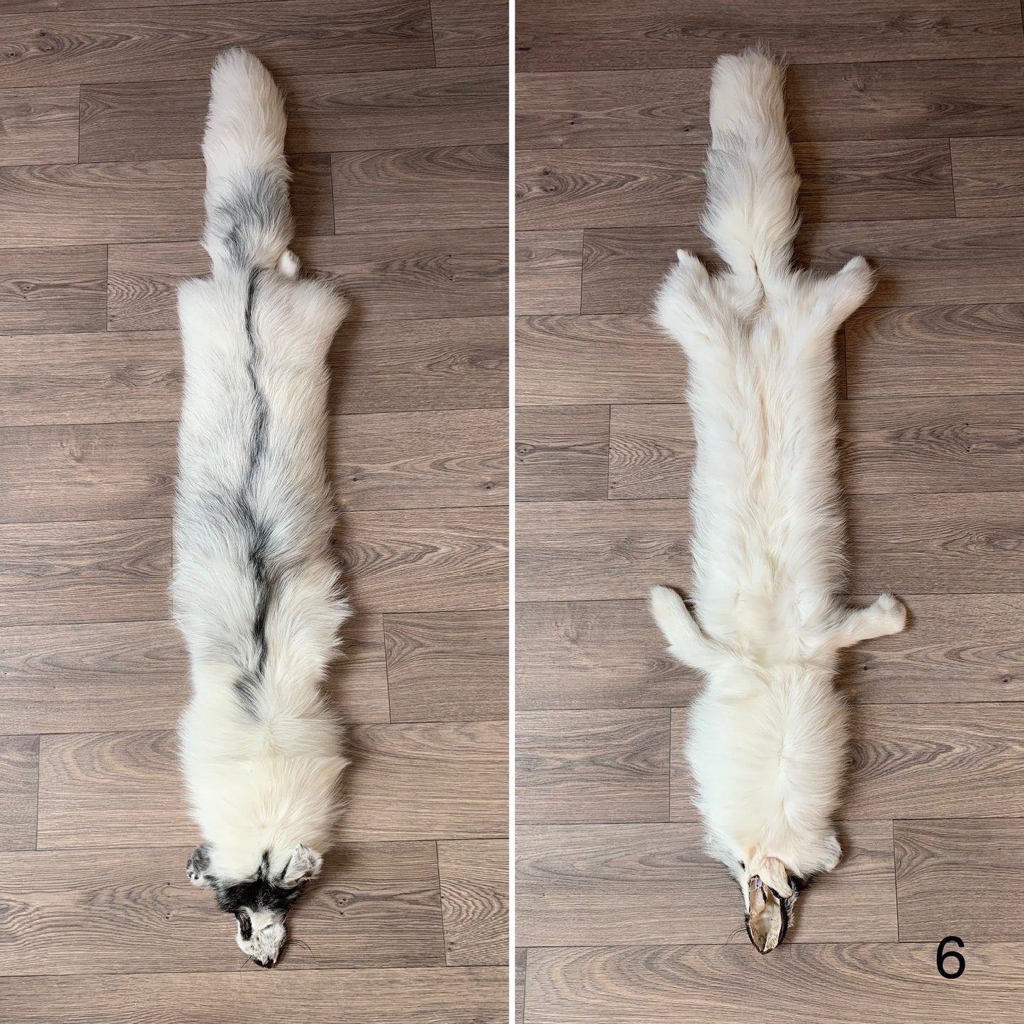 Arctic Marble fox pelt (6)