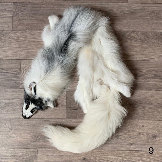 Arctic Marble fox pelt (9)