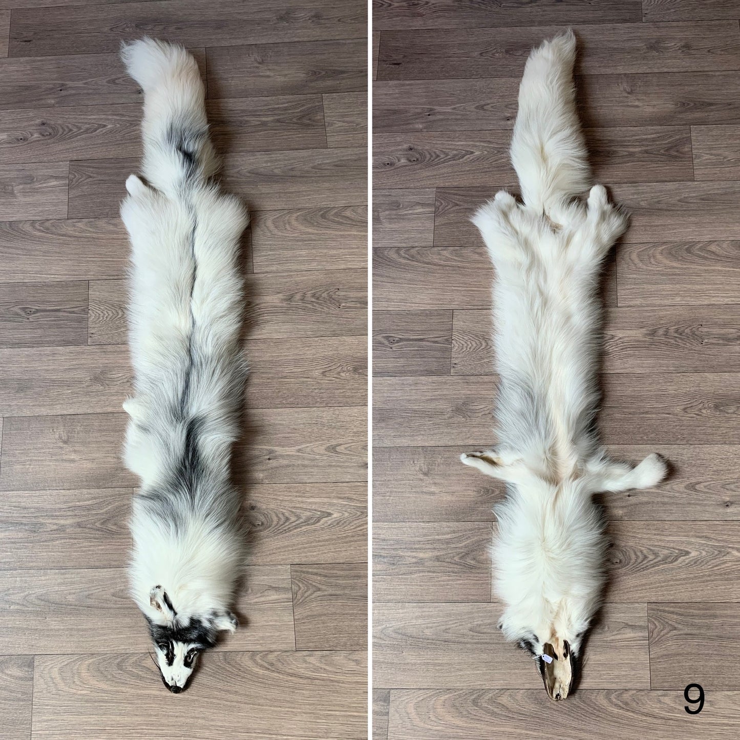 Arctic Marble fox pelt (9)