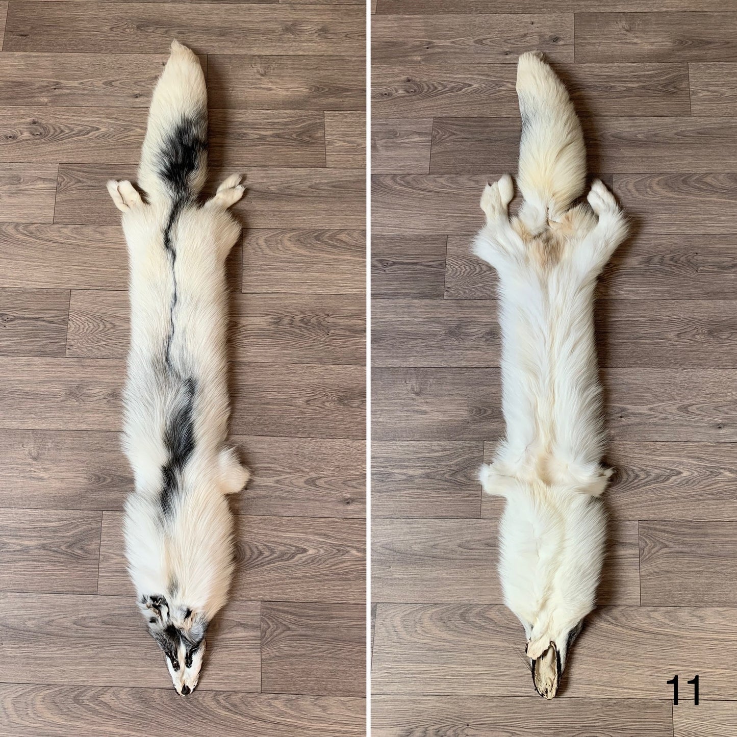 Arctic Marble fox pelt (11)