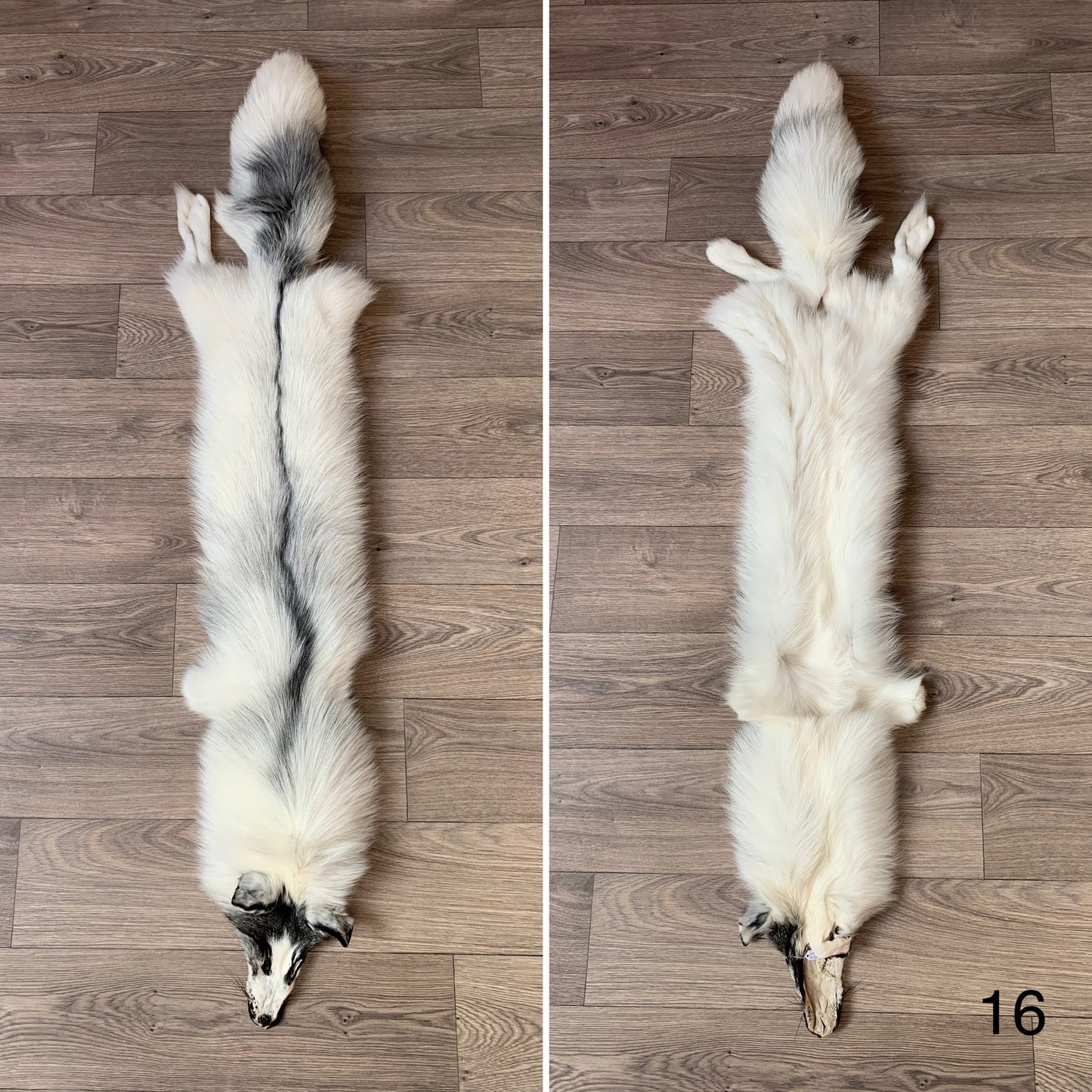 Arctic Marble fox pelt (16)