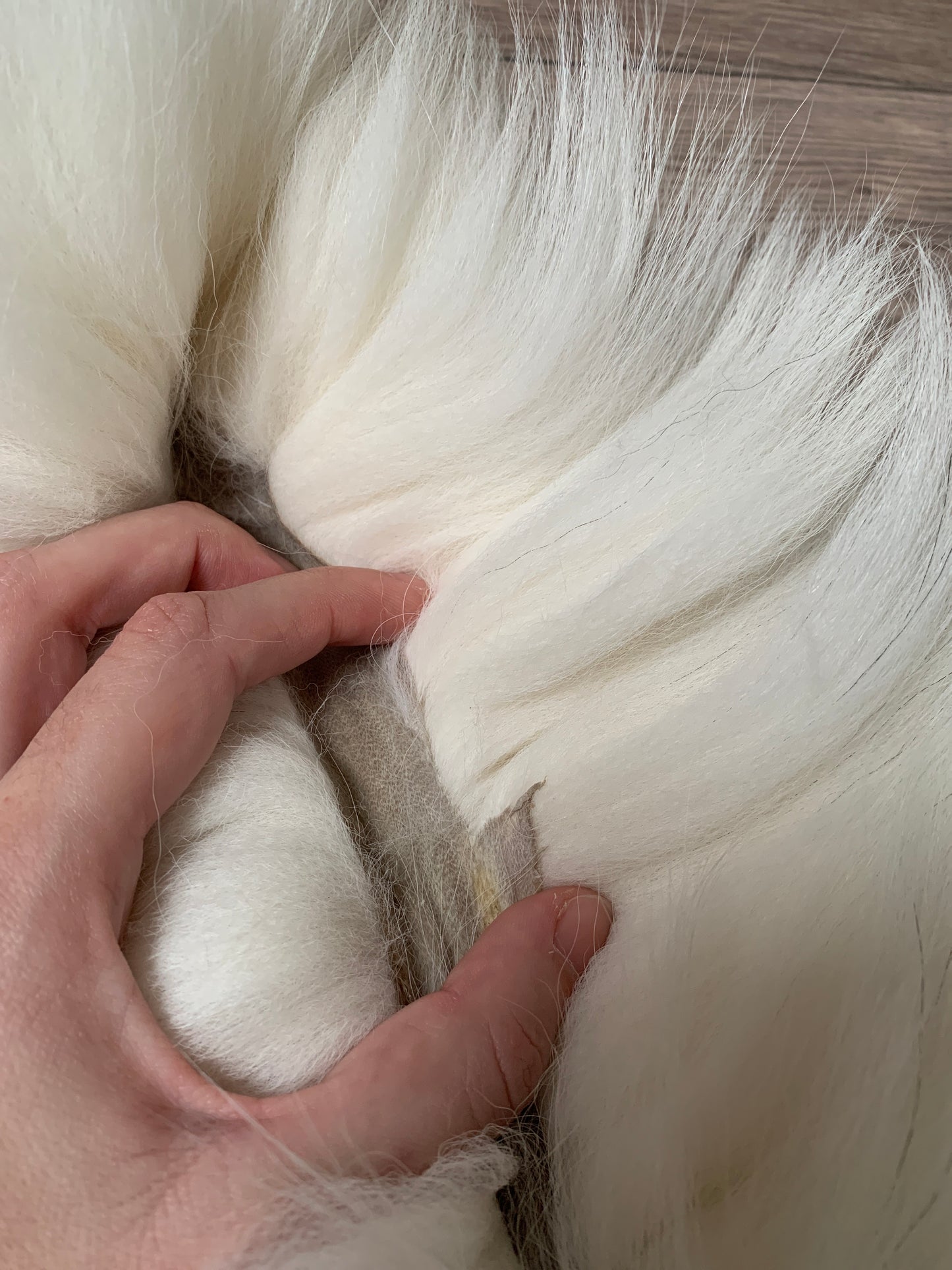 Arctic Marble fox pelt (16)