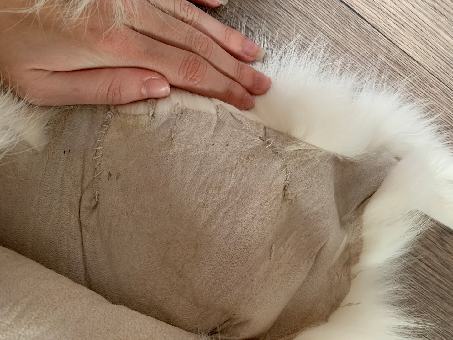 Arctic Marble fox pelt (16)