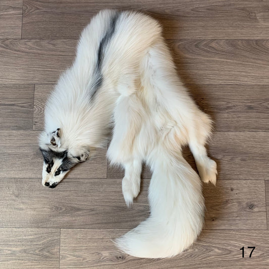 Arctic Marble fox pelt (17)