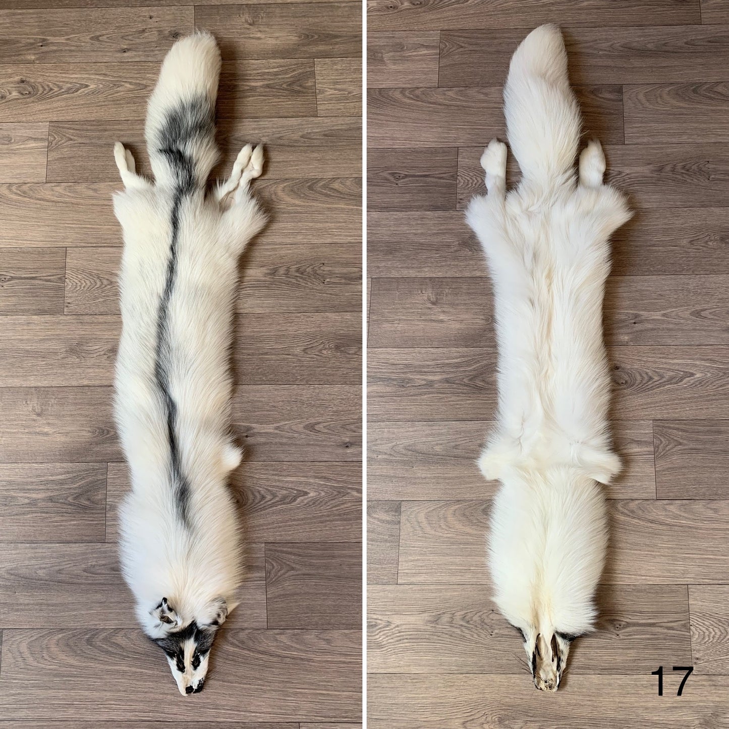 Arctic Marble fox pelt (17)