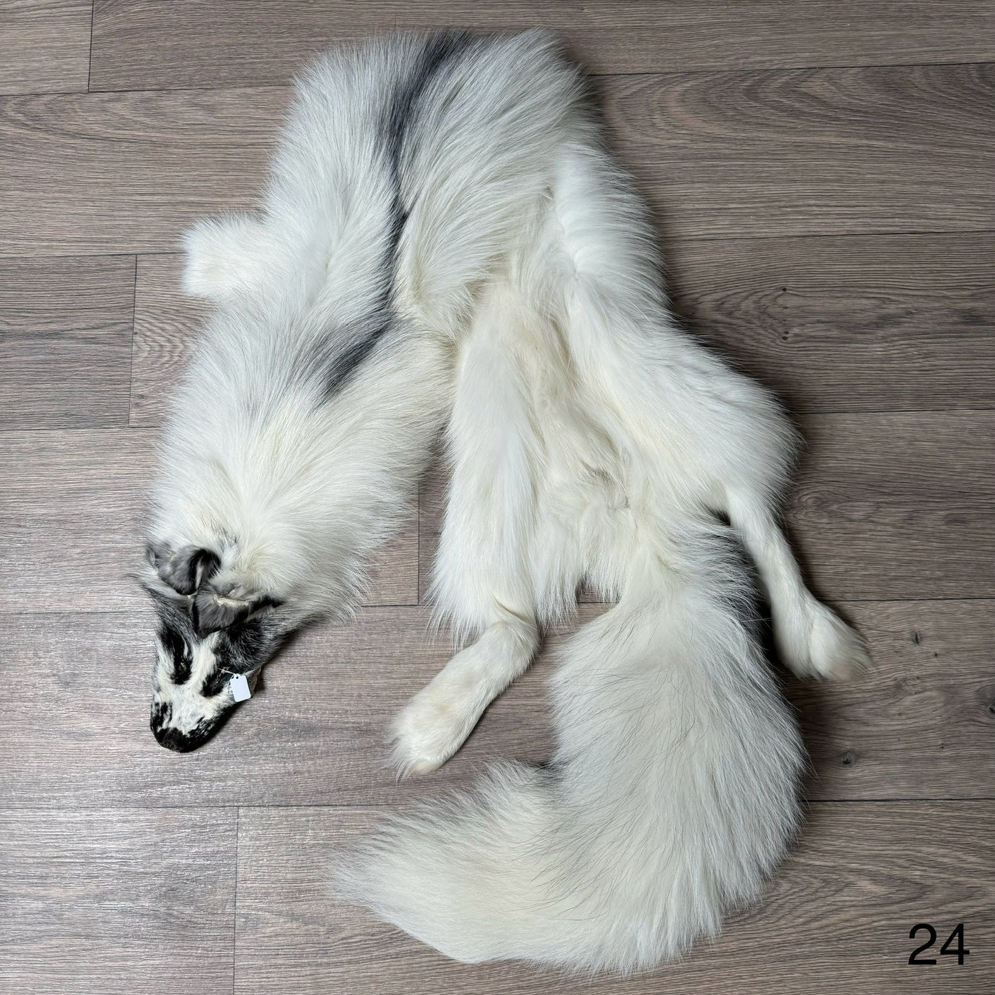 Arctic Marble fox pelt (24)