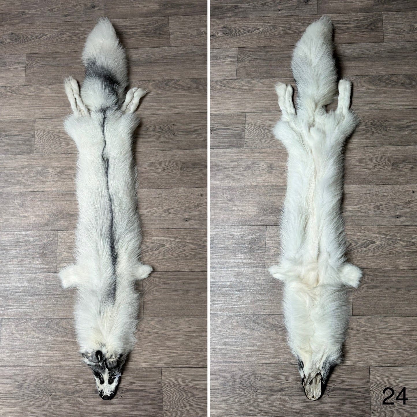 Arctic Marble fox pelt (24)